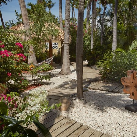 Paradera Park Aruba โอรันเยสตัด ภายนอก รูปภาพ