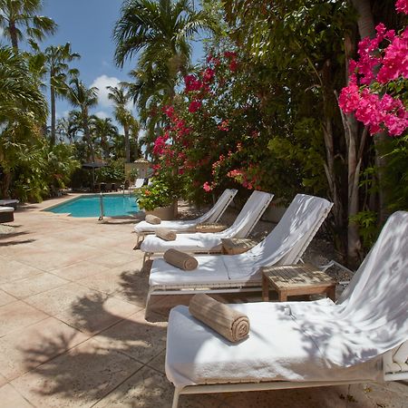 Paradera Park Aruba โอรันเยสตัด ภายนอก รูปภาพ