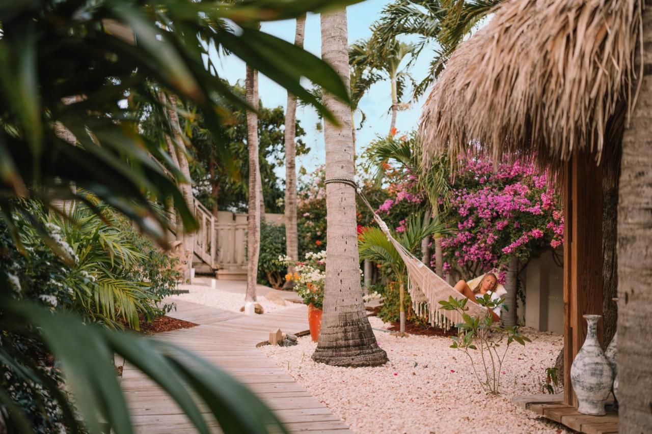Paradera Park Aruba โอรันเยสตัด ภายนอก รูปภาพ