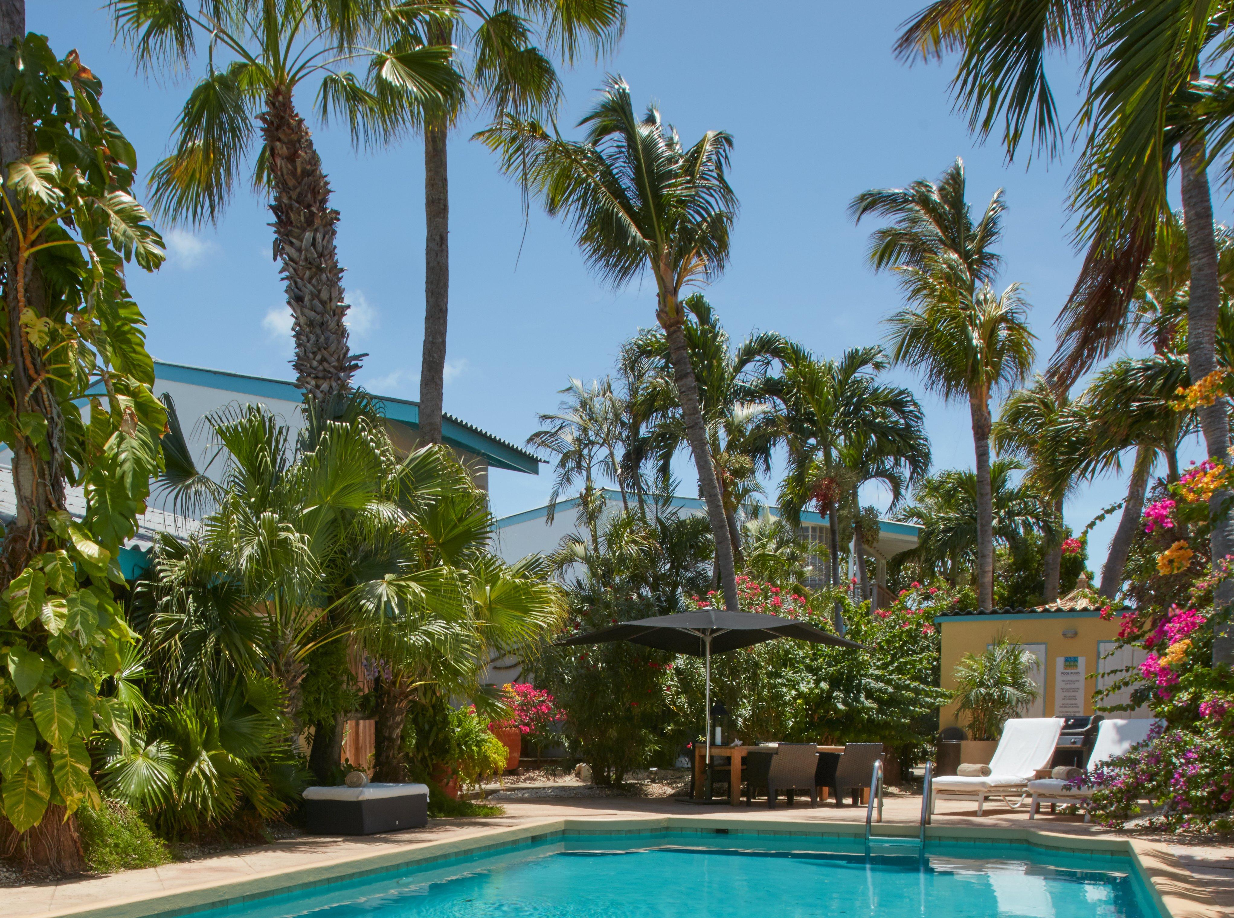 Paradera Park Aruba โอรันเยสตัด ภายนอก รูปภาพ
