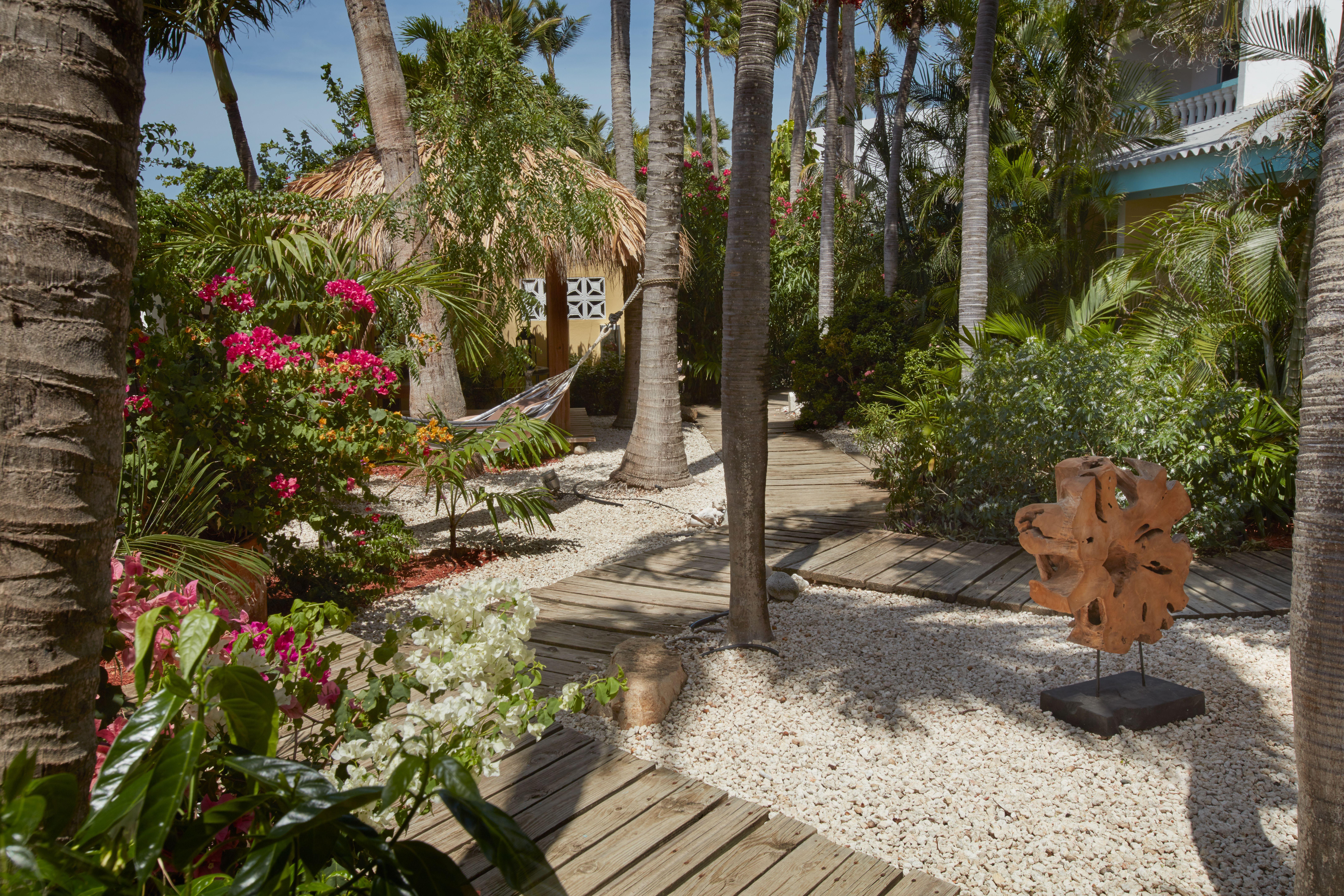 Paradera Park Aruba โอรันเยสตัด ภายนอก รูปภาพ