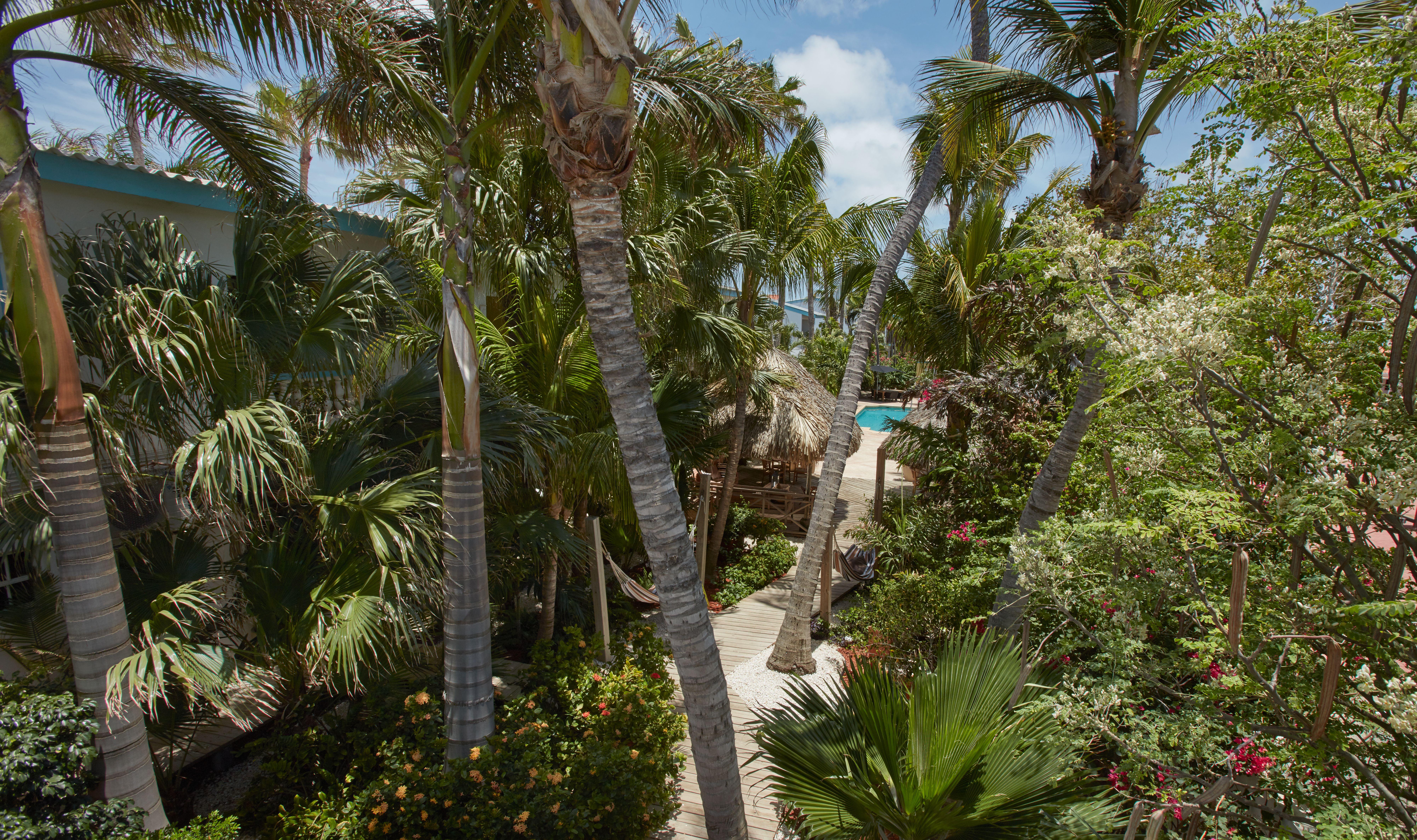 Paradera Park Aruba โอรันเยสตัด ภายนอก รูปภาพ
