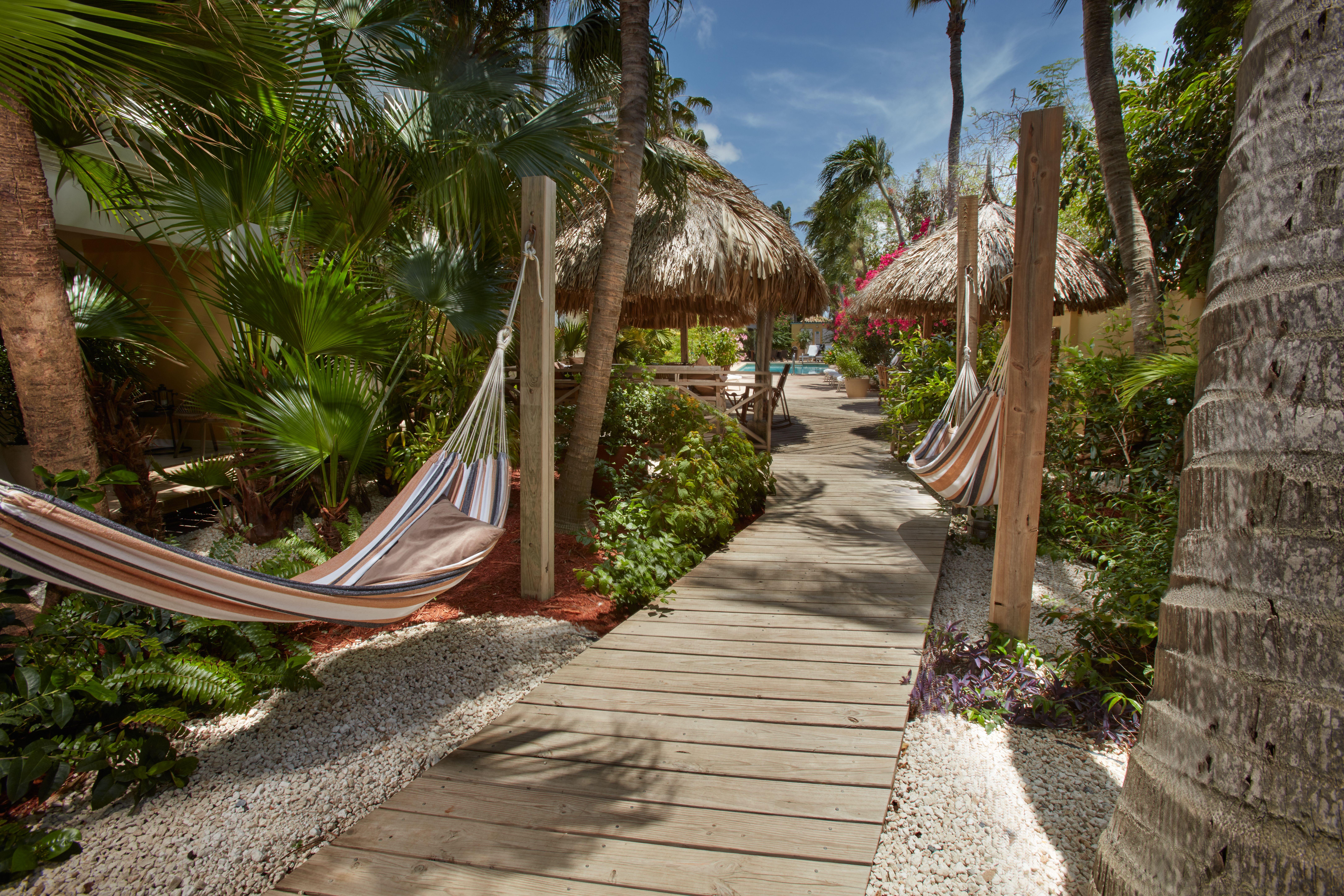 Paradera Park Aruba โอรันเยสตัด ภายนอก รูปภาพ