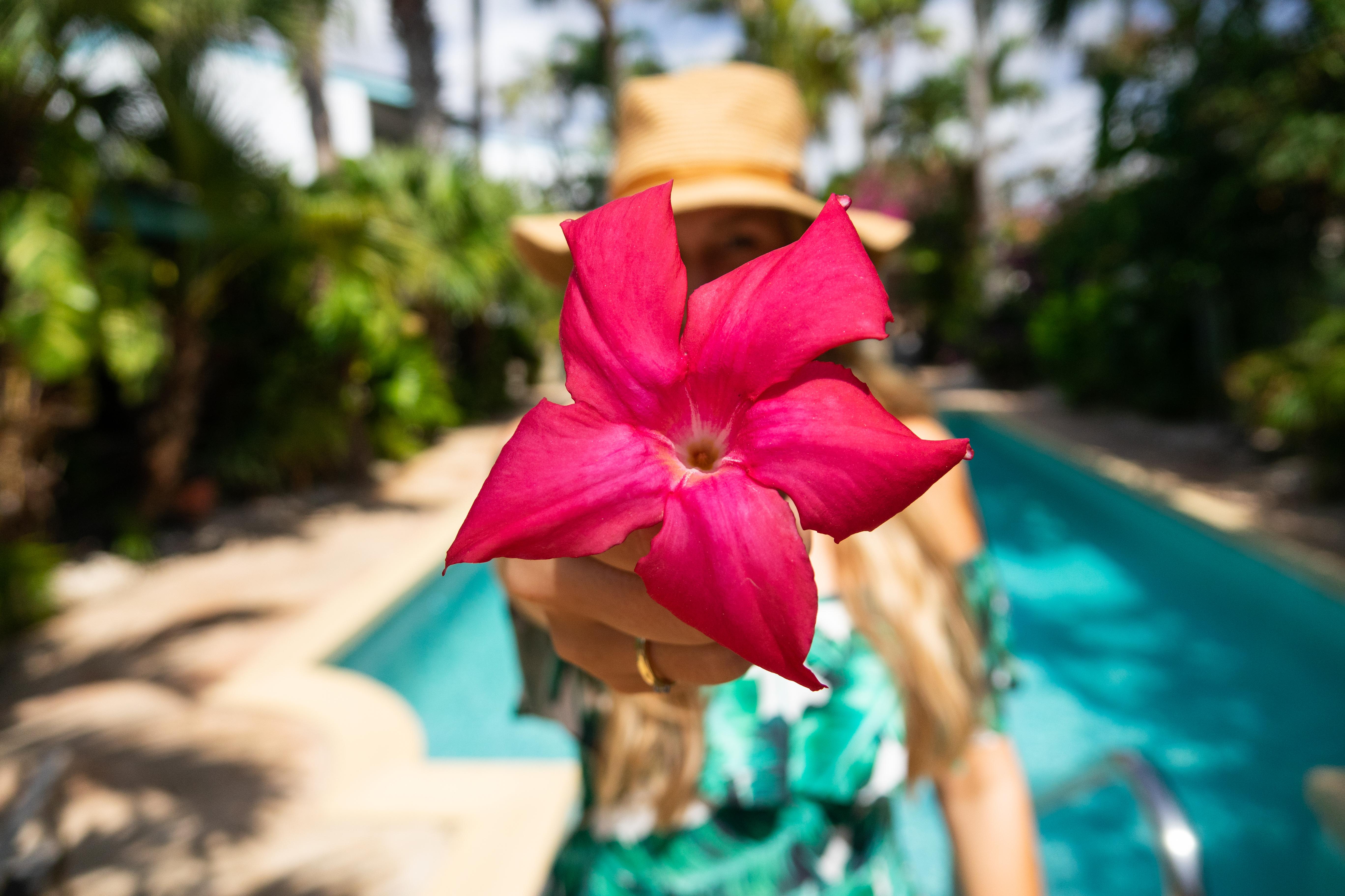 Paradera Park Aruba โอรันเยสตัด ภายนอก รูปภาพ