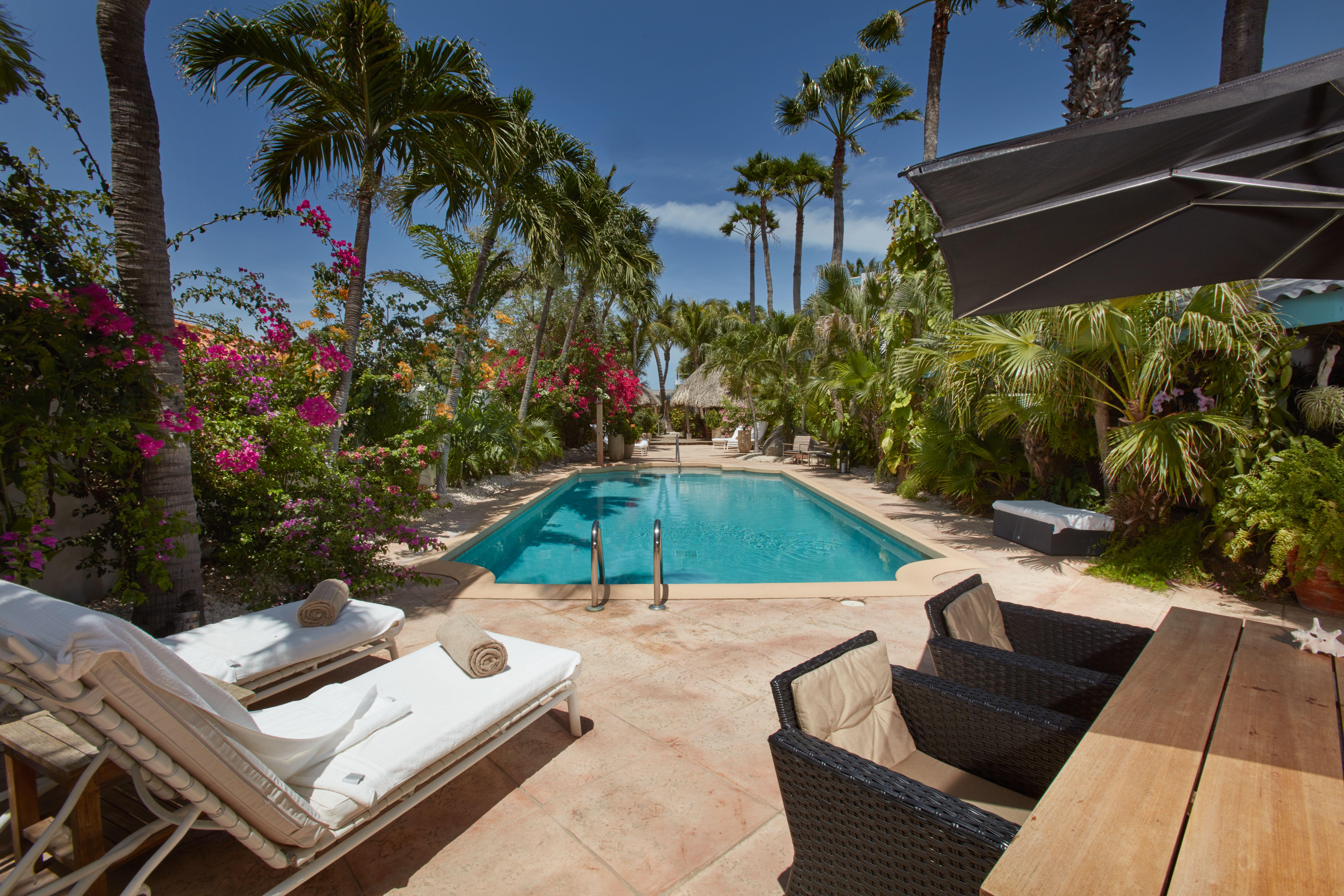 Paradera Park Aruba โอรันเยสตัด ภายนอก รูปภาพ