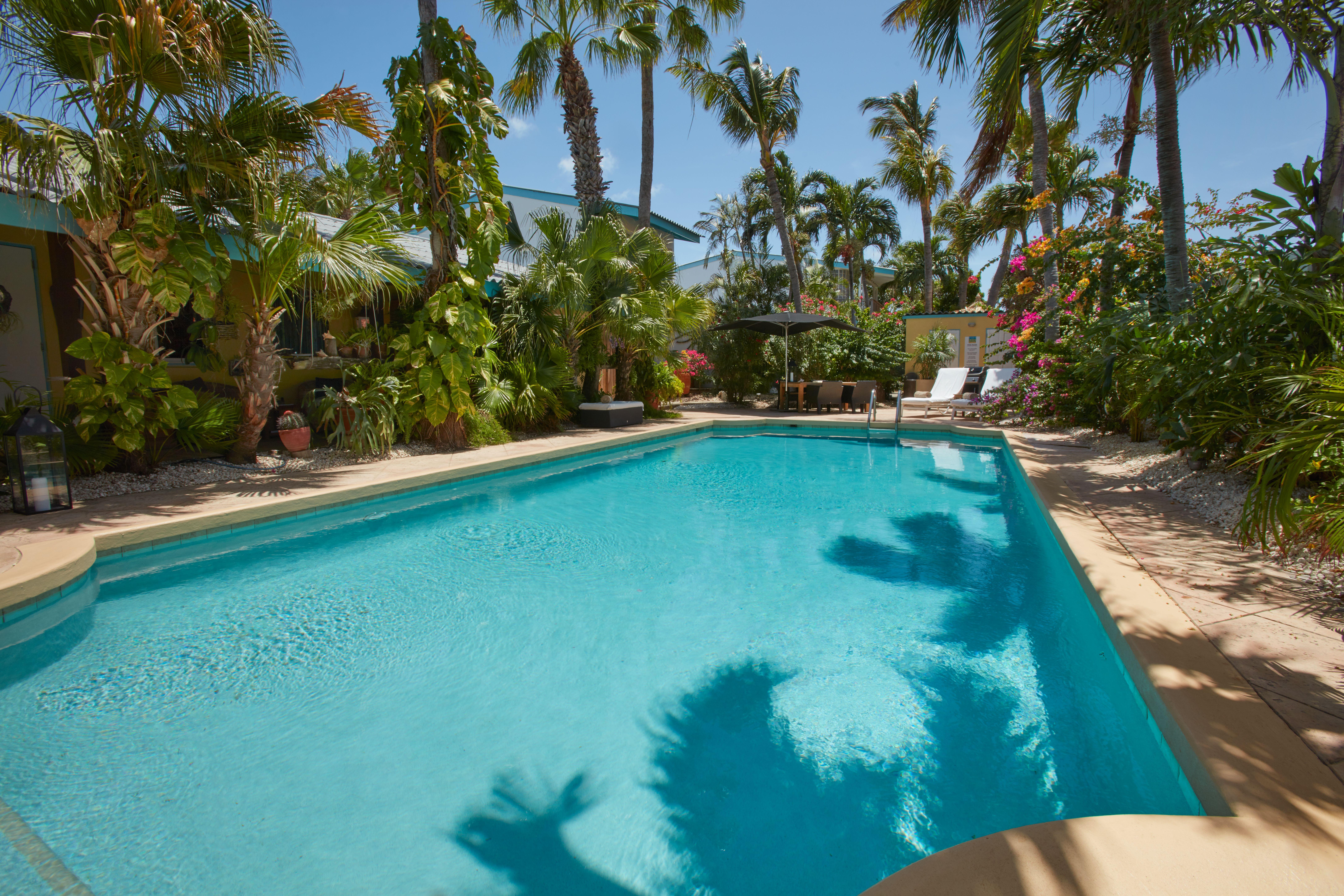 Paradera Park Aruba โอรันเยสตัด ภายนอก รูปภาพ